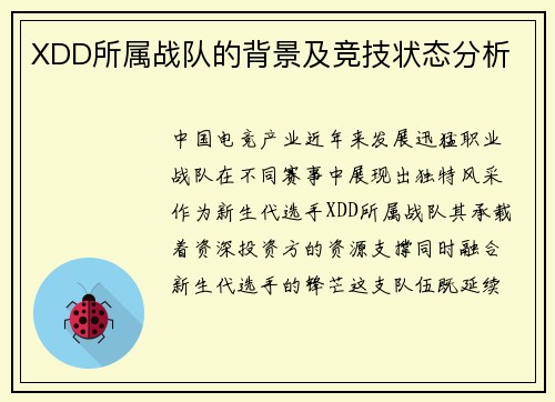 XDD所属战队的背景及竞技状态分析